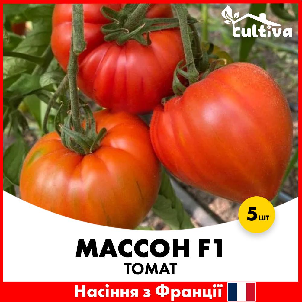 Семена томата Clause Массон F1 5 шт. (mssn5)