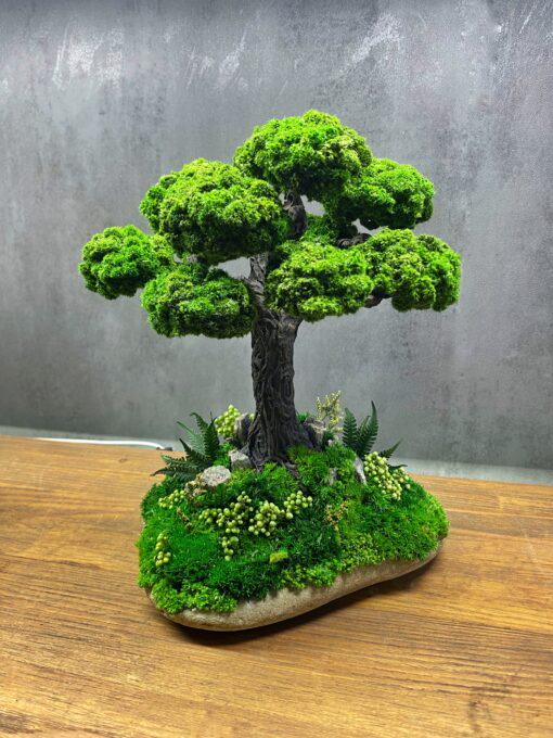 Бонсай на камені Magic Gardens зі стабілізованими рослинами 25х24 см