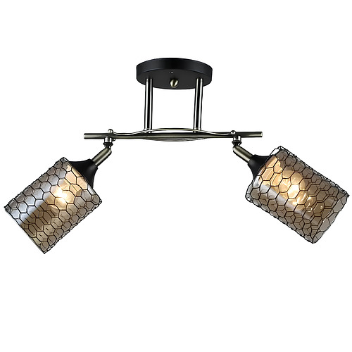 Люстра Svet с двумя поворотными плафонами под лампы Е27 Медный (SR-N4878/2 AB+BK)