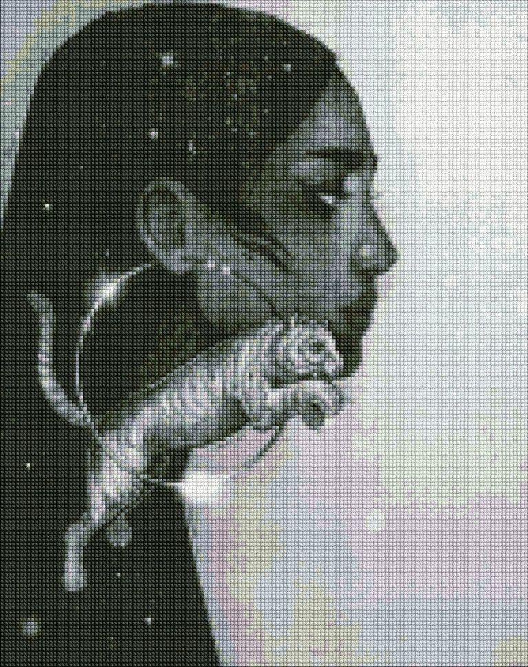 Алмазная мозаика Идейка Созвездие тигра 40х50 см (AMO7270)