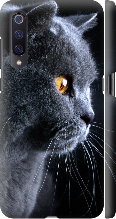 Чехол на Xiaomi Mi9 Красивый кот (3038m-1648-42517)