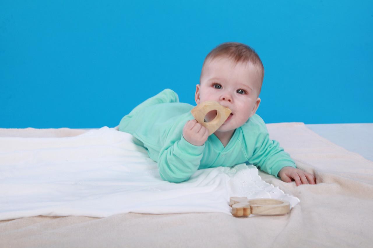 Грызунок HEGA Подарок (166) - фото 6 Грызунок HEGA Подарок (166) - фото 6