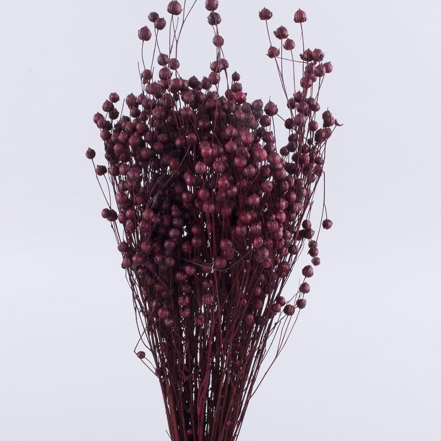 Сухоцвет лен 100 г Бордовый (2128-1)