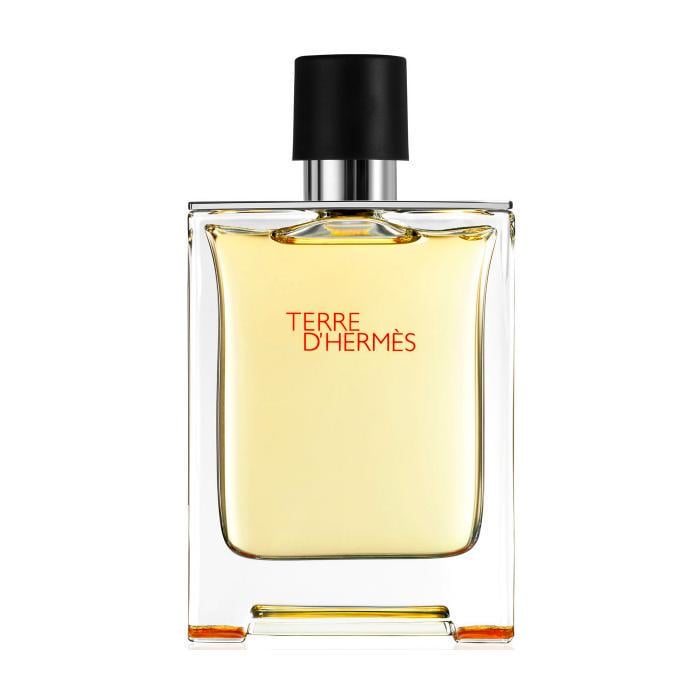Духи для мужчин Hermes Terre D'Hermes Pure Parfum 200 мл тестер (401938)