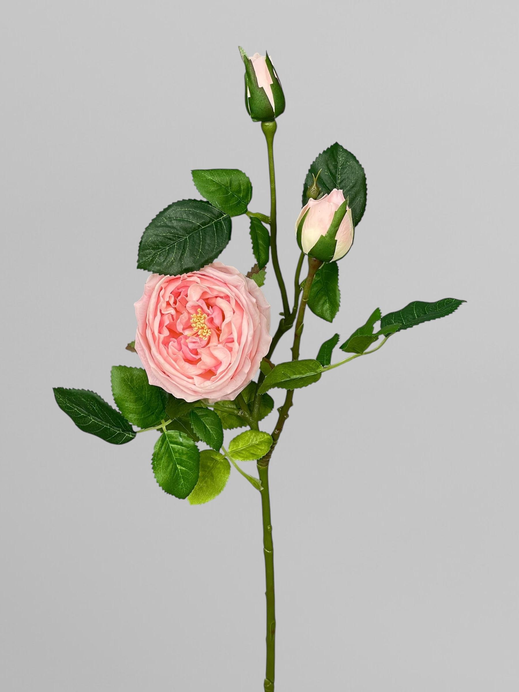 Искусственная английская роза Дэвида Остина 72 см Розовый (К02036) - фото 1 Искусственная английская роза Дэвида Остина 72 см Розовый (К02036) - фото 1