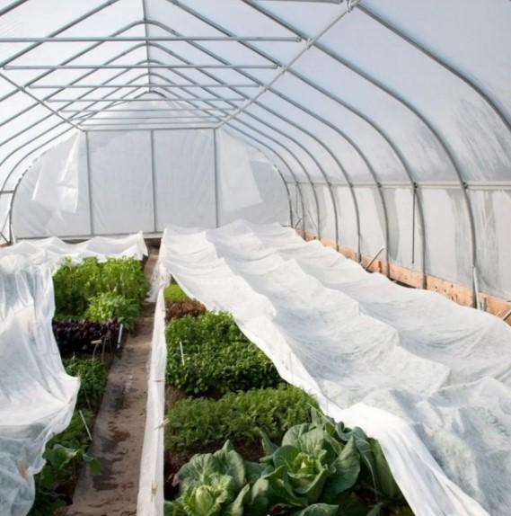 Агроволокно Shadow 17 г/м² 1,6x50 м (АВБР000011) - фото 5 Агроволокно Shadow 17 г/м² 1,6x50 м (АВБР000011) - фото 5