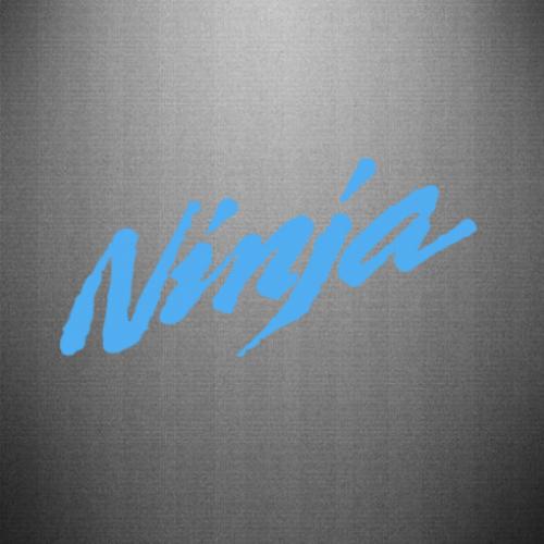 Наклейка Ninja 45x21,4 см (25370504)