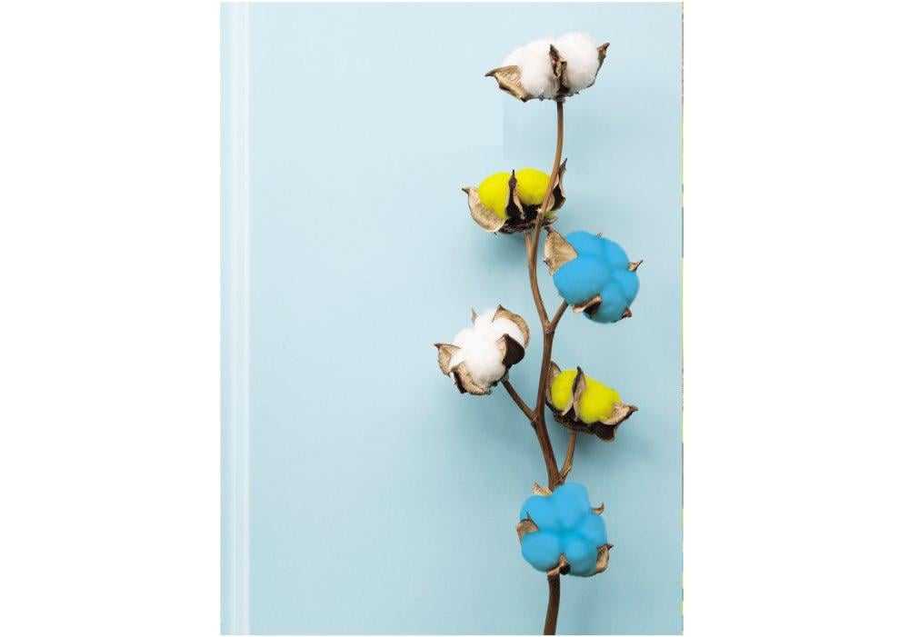 Ежедневник недатированный Economix Color A5 320 стр. принт (E22036)