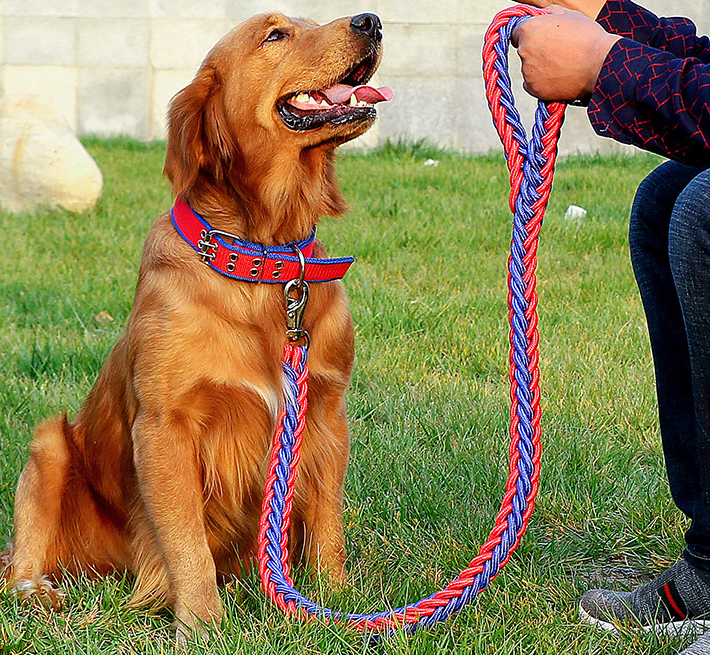 Повідець та нашийник для собак №2 41-53 см 130 см х 1,5 см Червоний/Синій (2296454415) - фото 3