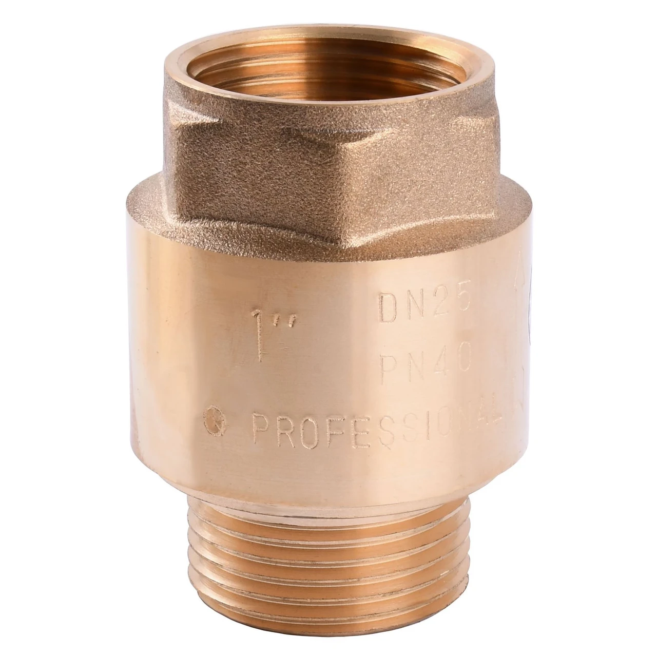 Клапан зворотного ходу води Professional Q 1" НВ QP100MF (1200000150)