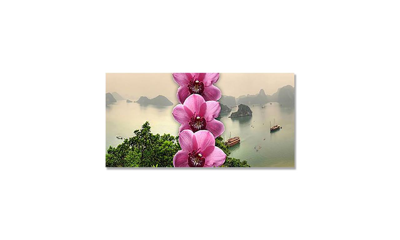 Наклейка виниловая на стол Zatarga Тайланд 600х1200 мм (1274514200) Наклейка виниловая на стол Zatarga Тайланд 600х1200 мм (1274514200)