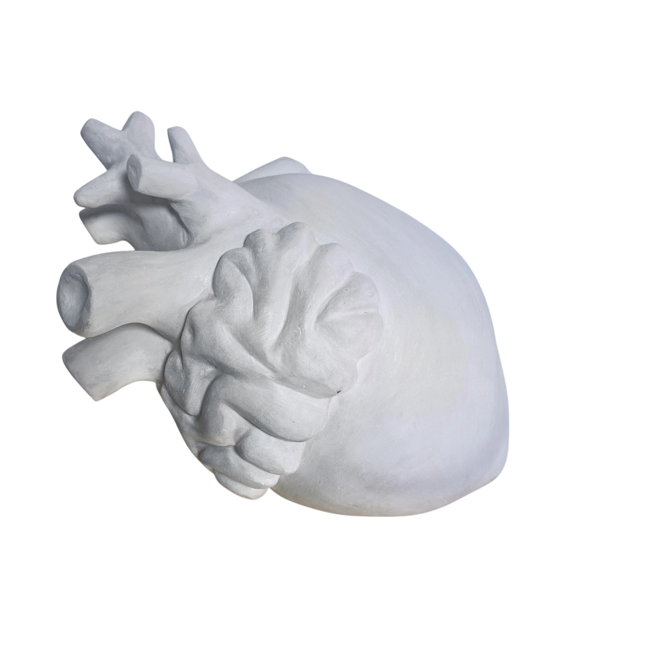 Скульптура гіпсова під фарбування Анатомічне серце 17 см (s1335Г)