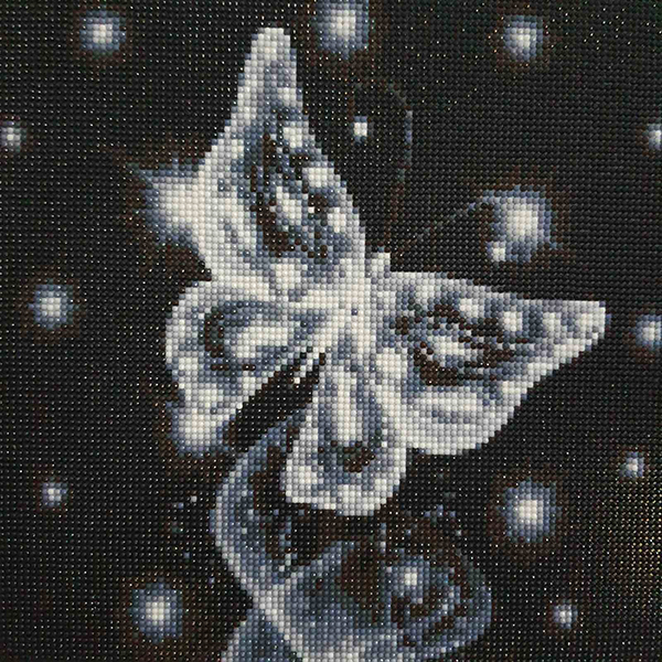 Алмазная вышивка на подрамнике 30x30 см полная выкладка Звездный мотылек