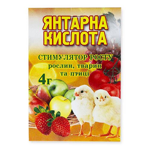 Бурштинова кислота Florium 4 г - фото 1