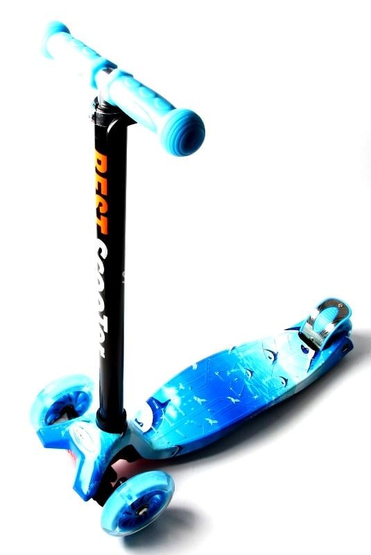Самокат детский Scooter Maxi Style Delfin (2T1047)