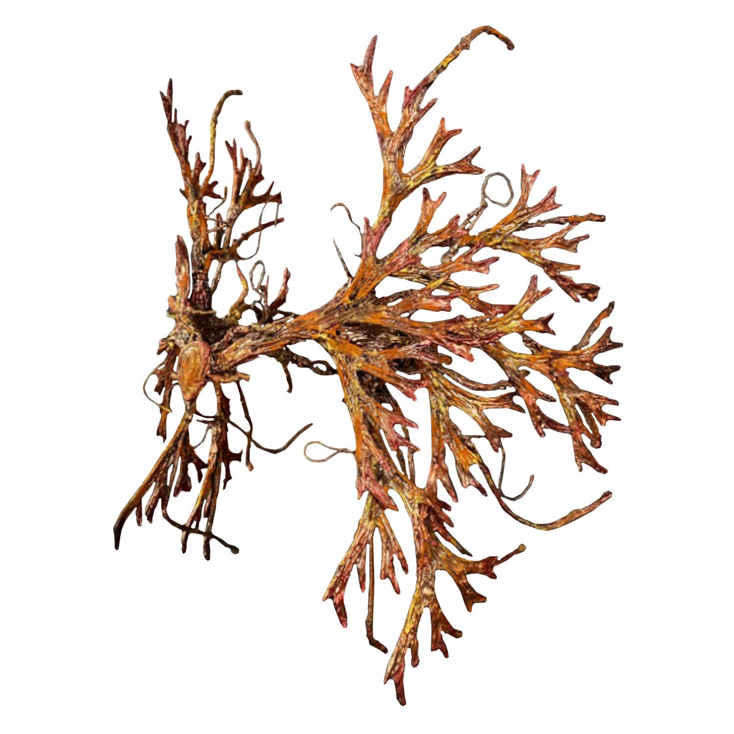 Тиара-венок Seta Decor Эльфийка (22-401-OR)