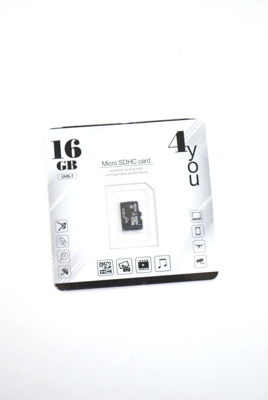 Карта памяти Micro SD 4you Class10 без адаптера 16 Gb (1437271234)