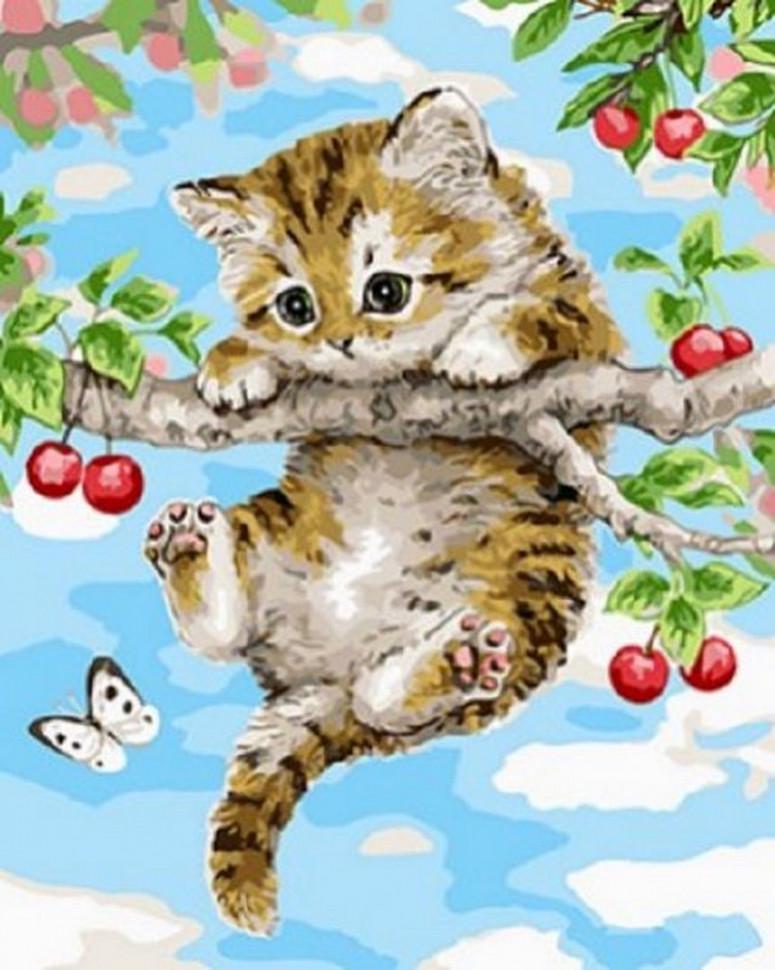 Картина по номерам Rainbow Art Котенок на ветке (GX4484-RA)