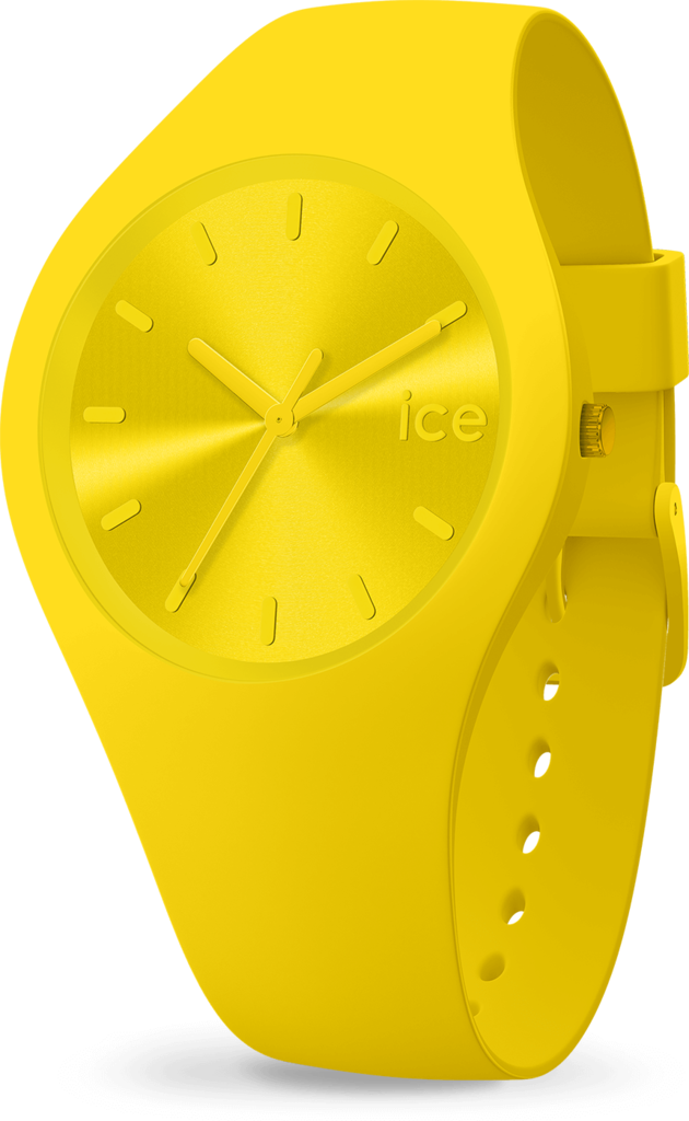 Часы кварцевые Ice-Watch (17909)