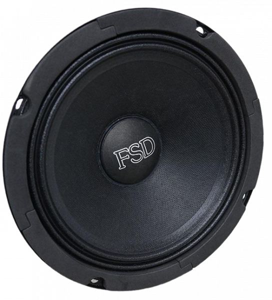 Естрадна акустика FSD audio Standart 165S