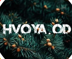 Hvoya.od