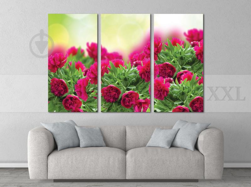 Модульна картина Poster-land Квіти Піони Art-235_XXL