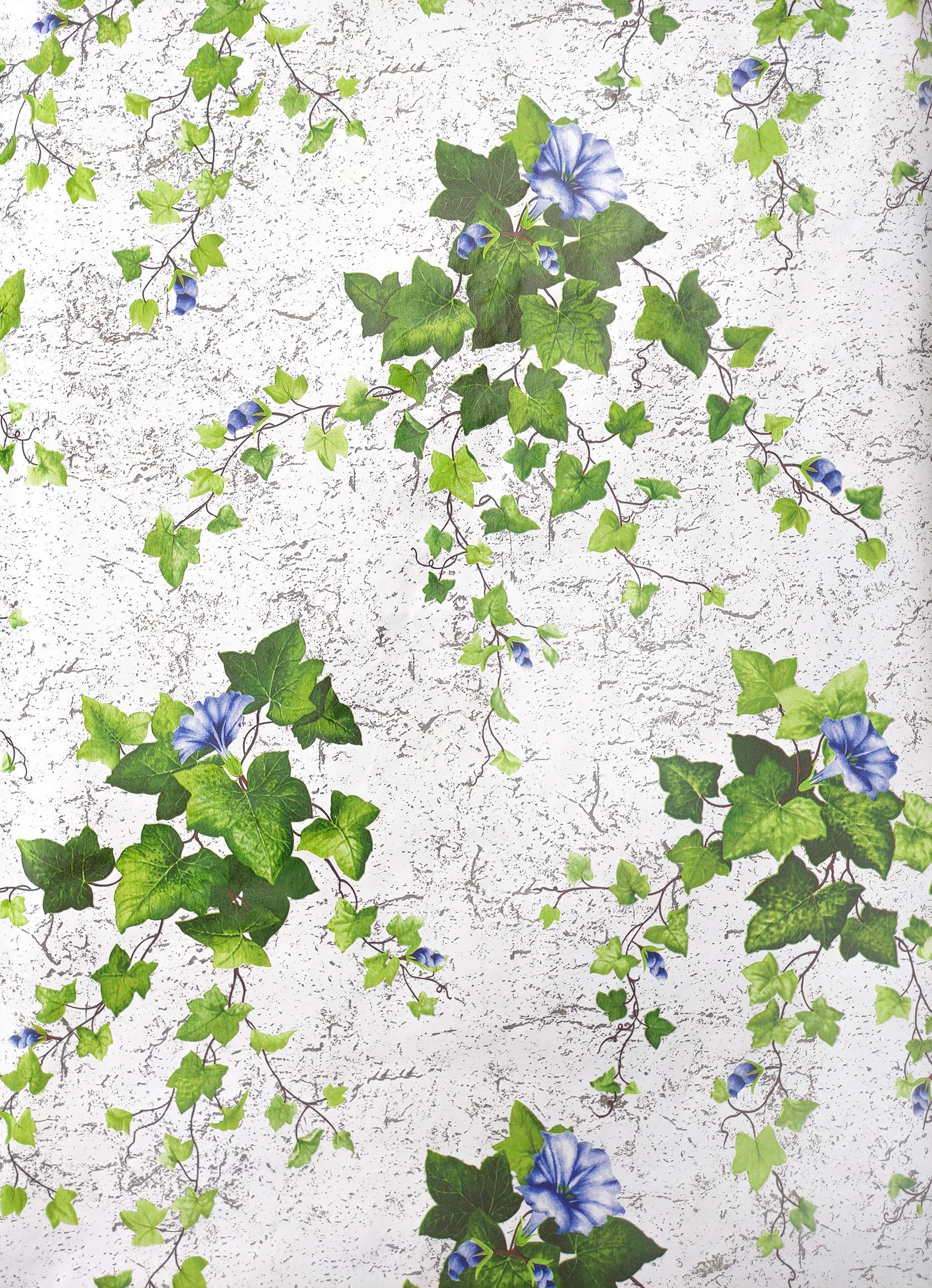Обои бумажные Шарм Плющ влагостойкие (09-04) - фото 4 Обои бумажные Шарм Плющ влагостойкие (09-04) - фото 4