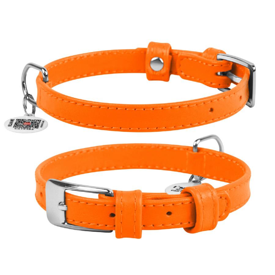 Ошейник для собак кожаный Waudog Glamour с QR паспортом без украшений XS 15 мм 27-36 см - фото 1 Ошейник для собак кожаный Waudog Glamour с QR паспортом без украшений XS 15 мм 27-36 см - фото 1