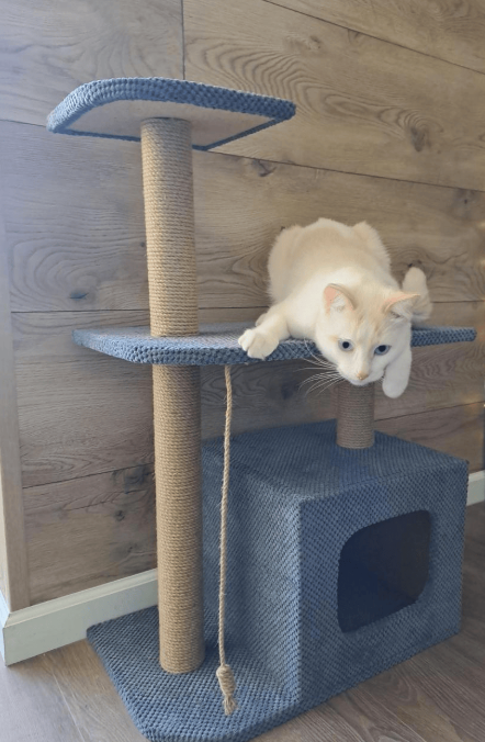 Когтеточка с домиком и лежанкой для кота 88 см Серый