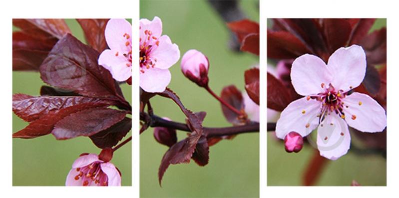 Модульная картина Декор Карпаты 100х53 см (M3-184 61)