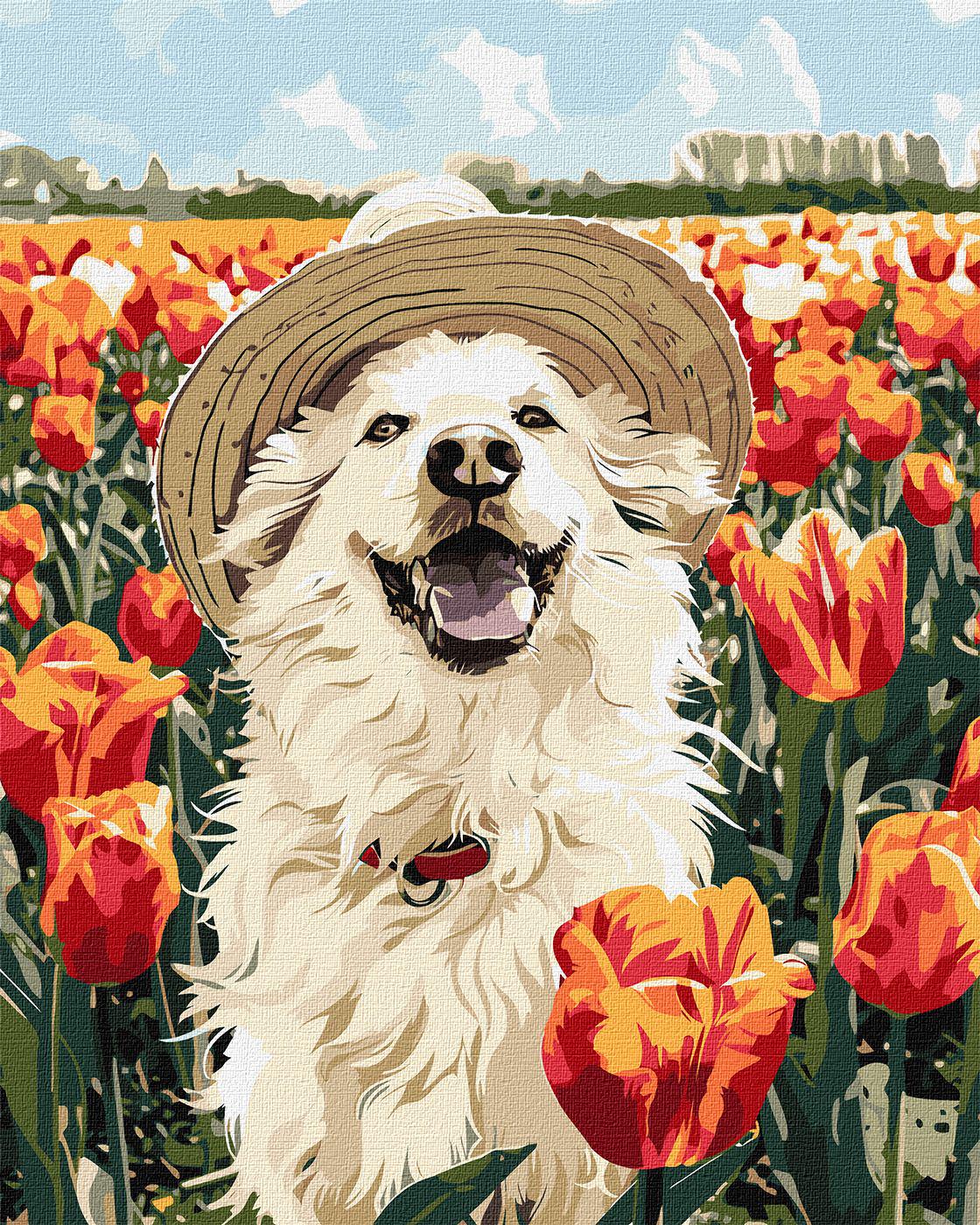 Картина по номерам Идейка Счастливый лабрадор 40x50 см (Id-KHO6623)