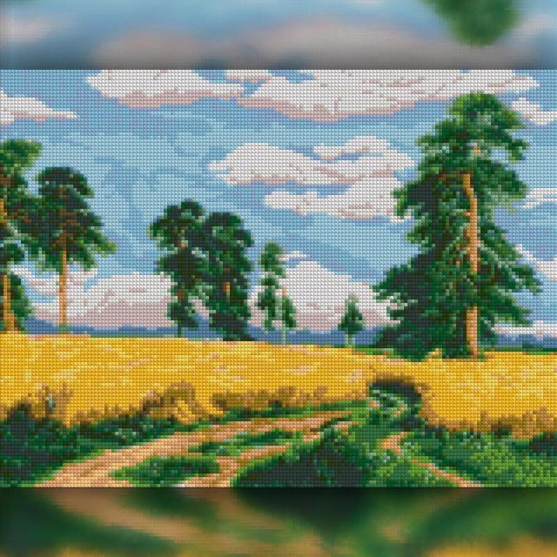 Алмазная мозаика на подрамнике The Wortex Diamonds Поле 50x60 см (TWD30030XL+P)
