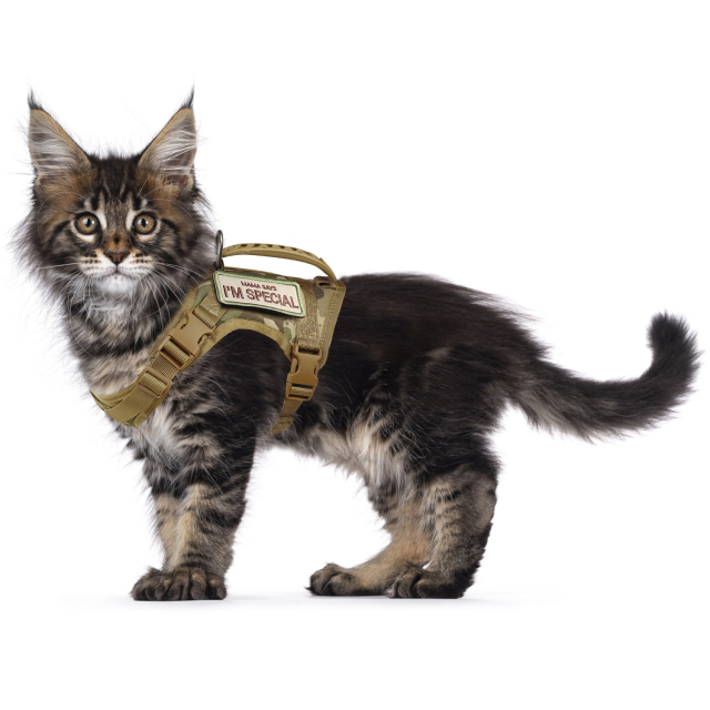 Шлея для котов и мелких собак Harness с ручкой 35-48 см Камуфляж (2120157960) - фото 4