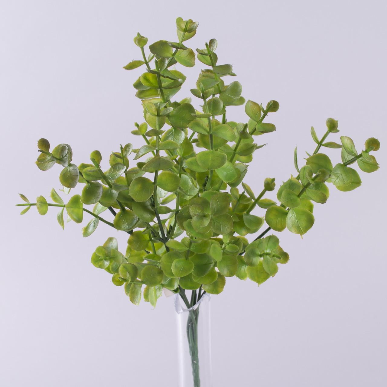 Букет Эвкалипт Киев Зеленый (3171-3)