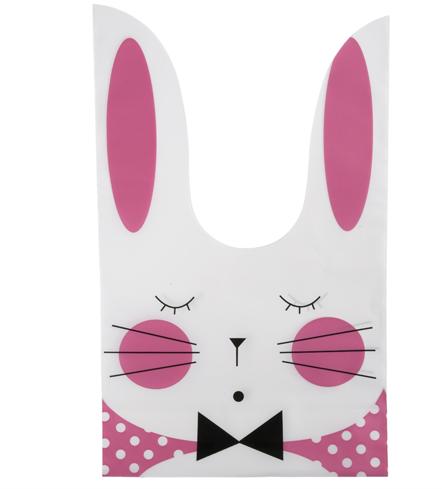 Пакет подарунковий Rabbit 10 шт. 14х23 см (R98228-M)