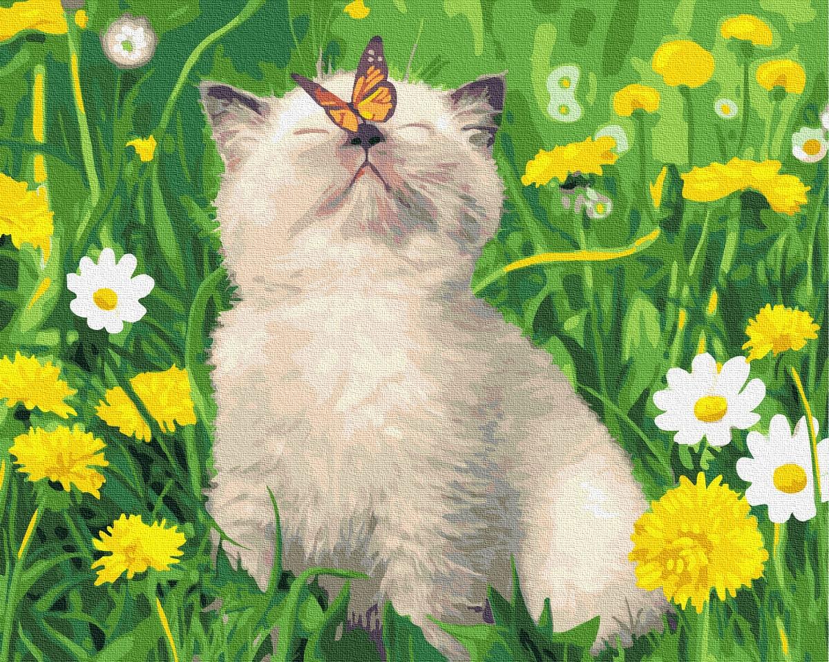 Картина по номерам Brushme GX36566 Котик с метеликом на носу 40x50 см (1341288545)