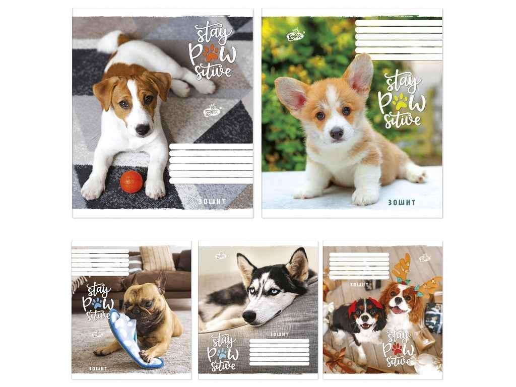 Тетрадь в линию Бріск 12 л. 25 шт. ТВ-107 2303 (935503)