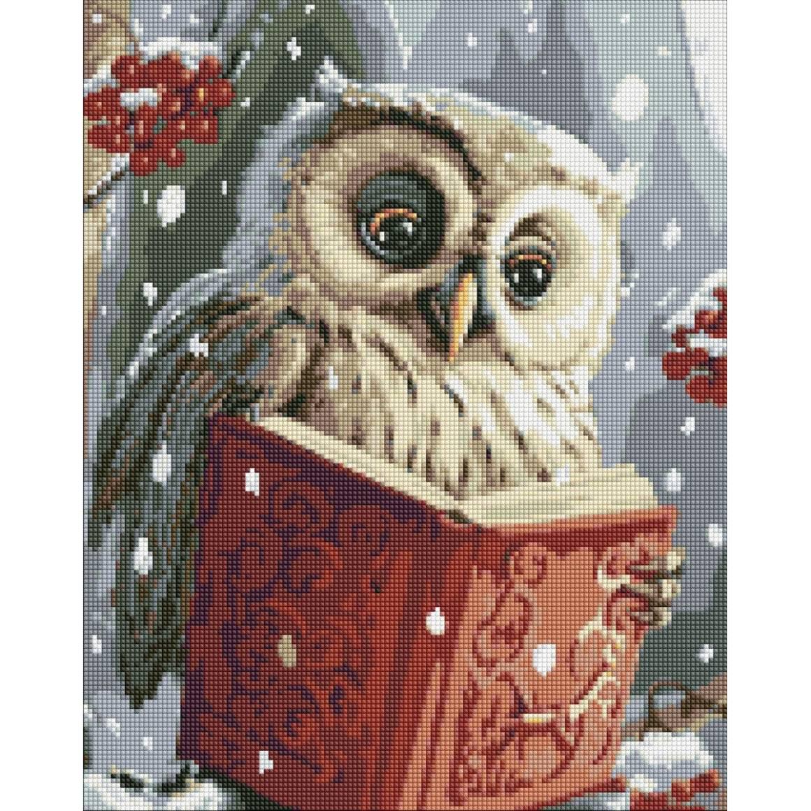 Алмазная мозаика Идейка Умная совушка 40х50 см (AMO7816)
