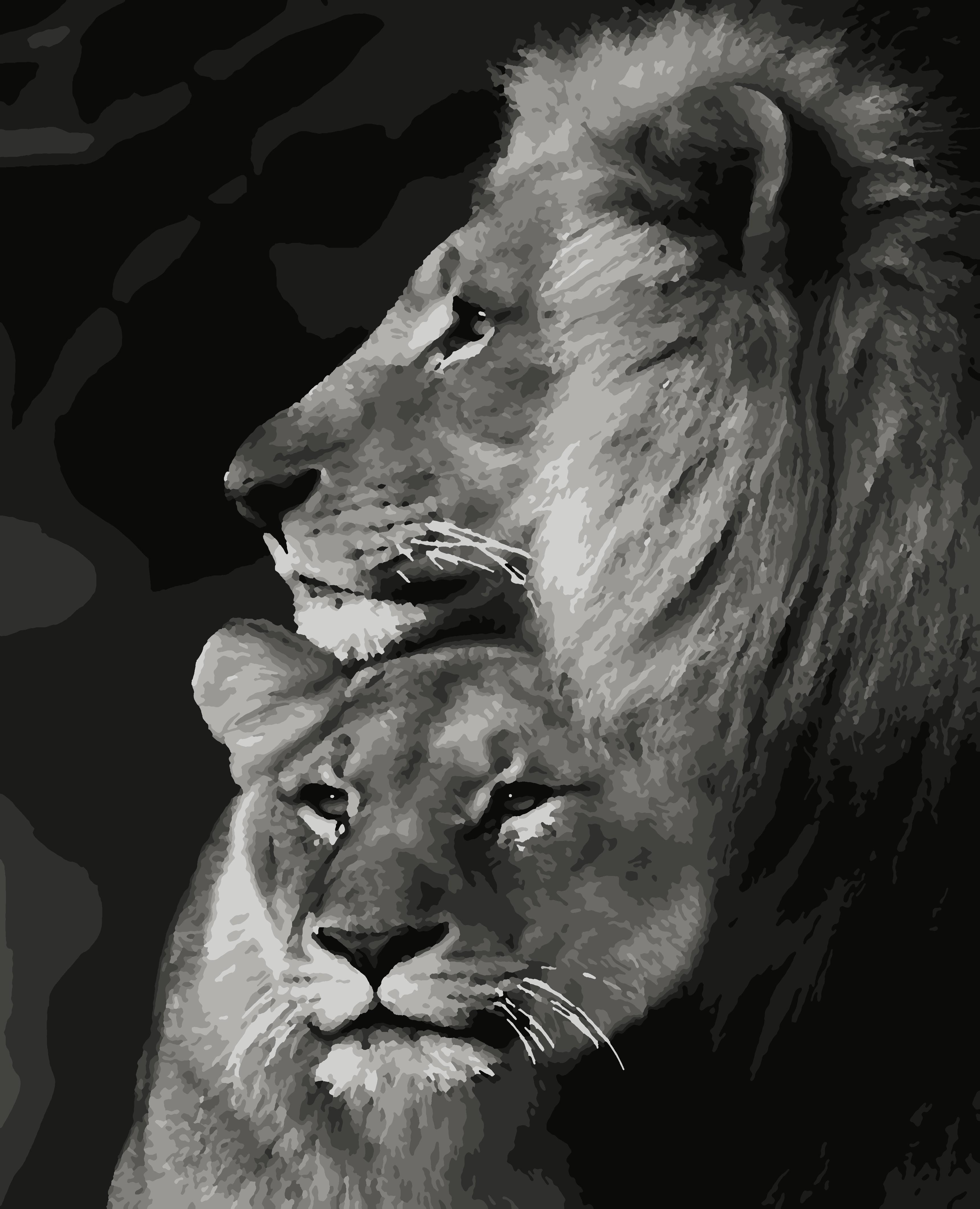 Картина за номерами Artissimo Пара левів 40x50 см (ART-B-4204)