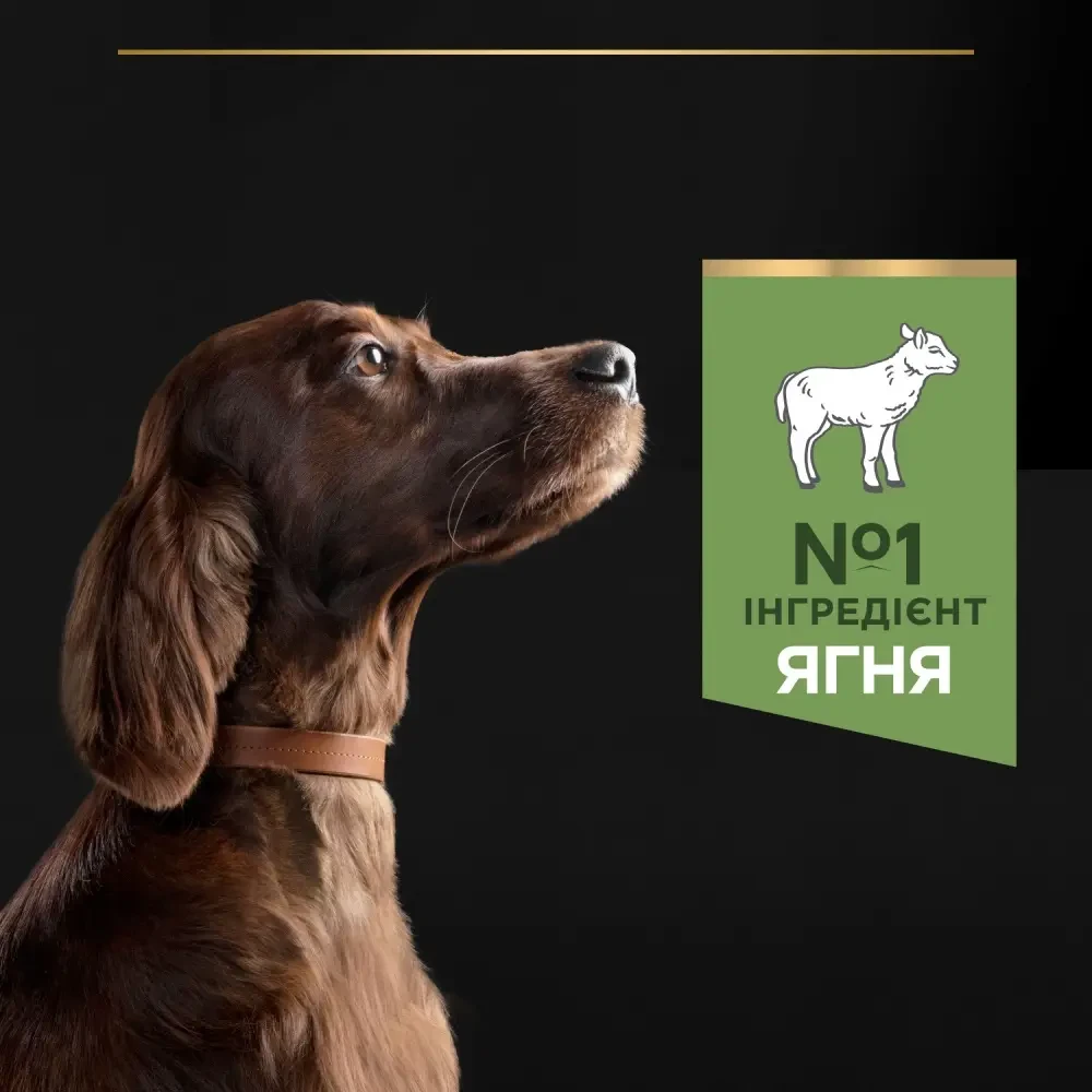 Сухой корм для собак Pro Plan Large Athletic 14 кг ягненка - фото 6 Сухой корм для собак Pro Plan Large Athletic 14 кг ягненка - фото 6