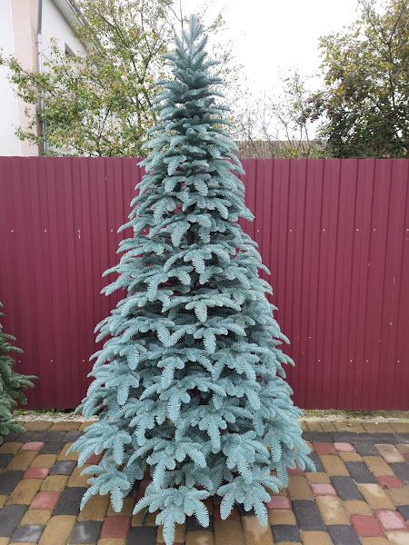 Елка искусственная литая Канадская голубая пышная 210 см с подставкой в коробке (26313394)