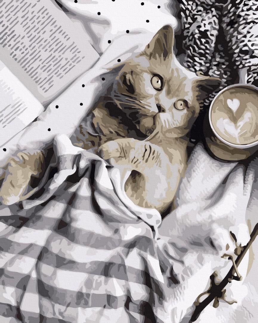 Картина по номерам Brushme Любимый кот 40x50 см (GX36657)