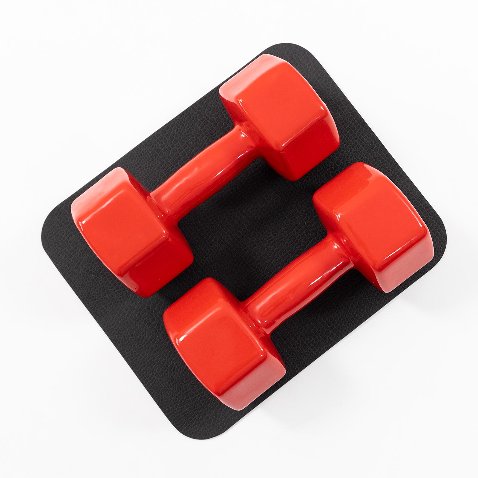 Гантели для фитнеса виниловые цельные/коврик Osport Profi 2 шт. 10 кг Красный (OF-0210) - фото 2 Гантели для фитнеса виниловые цельные/коврик Osport Profi 2 шт. 10 кг Красный (OF-0210) - фото 2