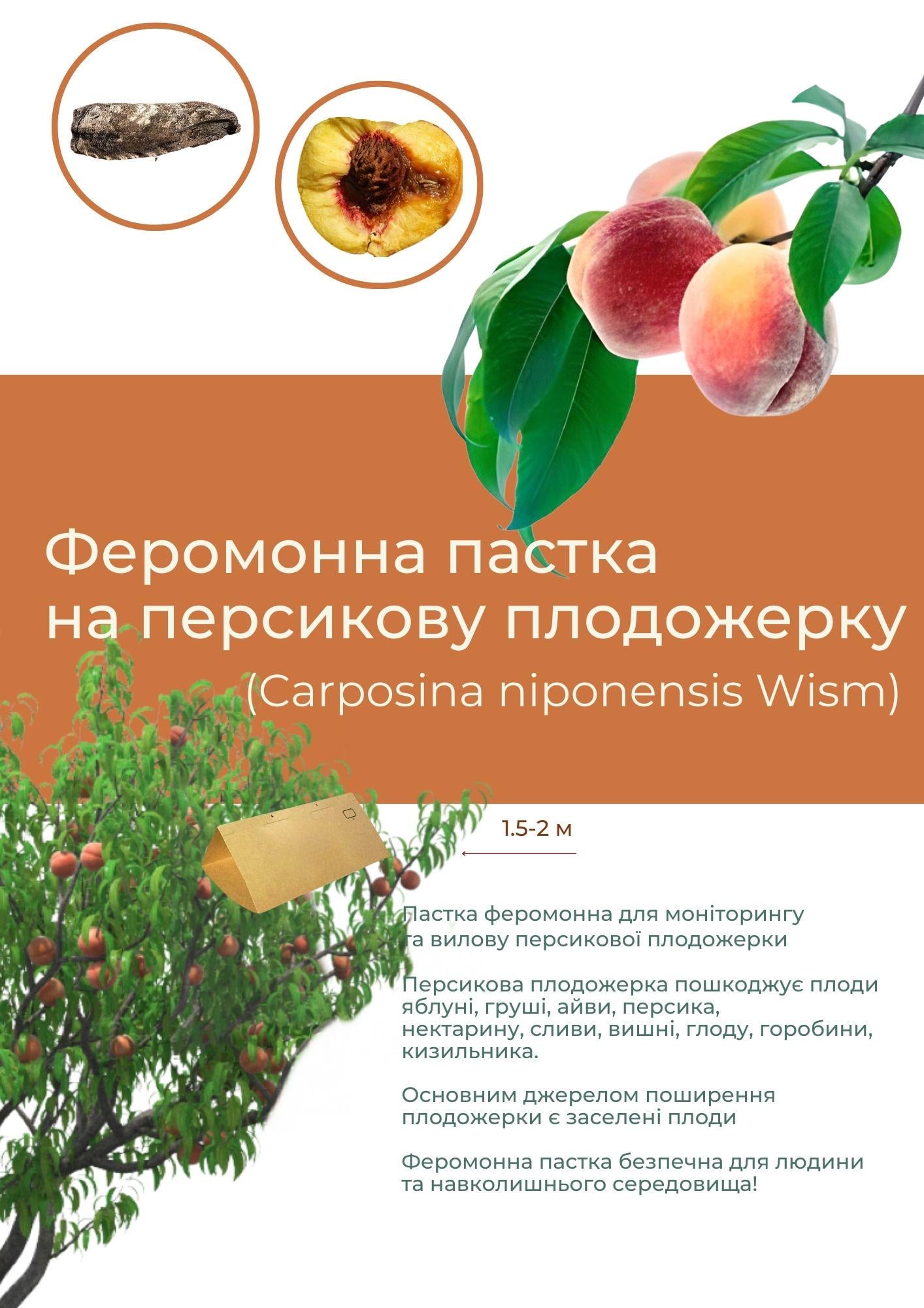 Феромонна пастка на персикову плодожерку Carposina niponensis (С002)