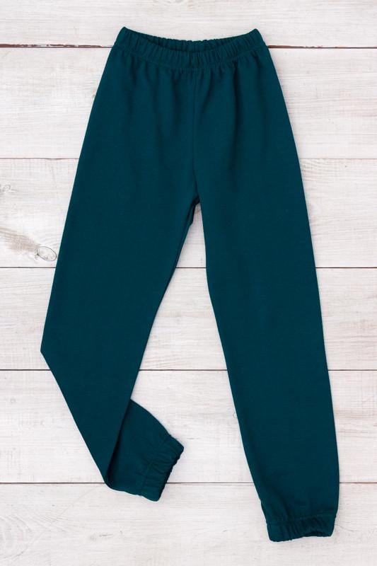 Штани спортивні утеплені -джогери для хлопчика Носи Своє 98 см Смарагдовий (6155-023-4) Штани спортивні утеплені -джогери для хлопчика Носи Своє 98 см Смарагдовий (6155-023-4)