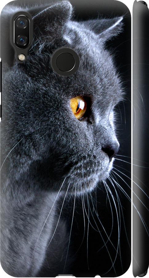 Чехол на Huawei Nova 3 Красивый кот (3038m-1535-42517)