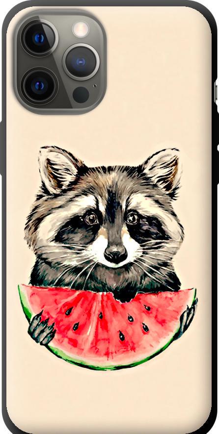 Чехол на iPhone 12 Pro Max Енотик с арбузом (4605b-2054-42517)