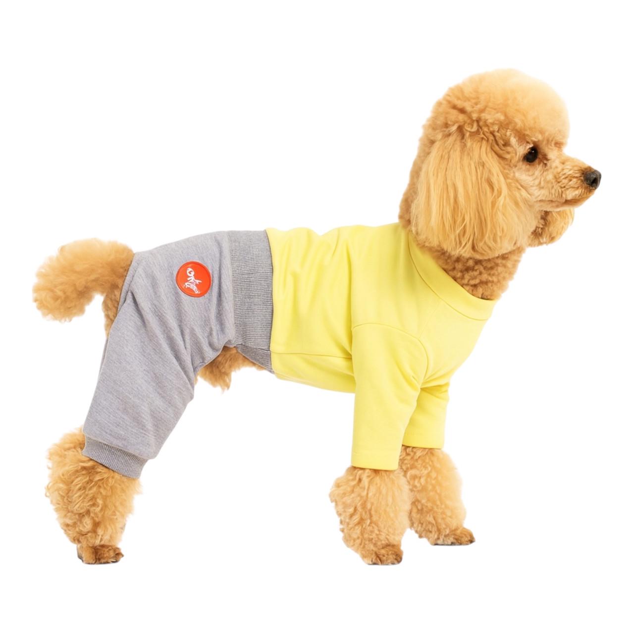 Костюм для собак Diego L Жовтий/Сірий (124181974)