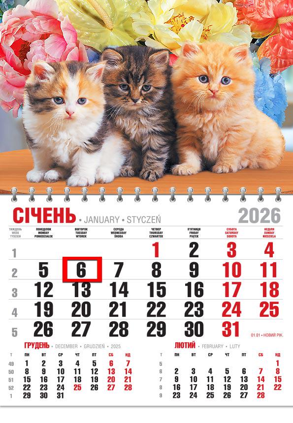 Календар на 2026 р. Офісний економ Трійка кошенят в квітах