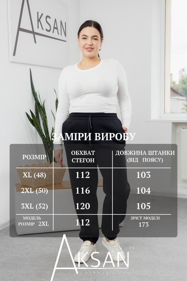 Штани жіночі зимові AKSAN байкові XL Чорний (25.2802_black_48(XL)) - фото 4